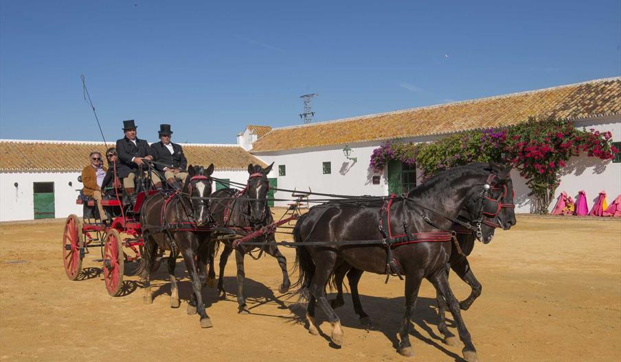 ACTIVIDADES - PASEO EN COCHE DE CABALLOS. Recorrido por la finca en carruaje de caballos.