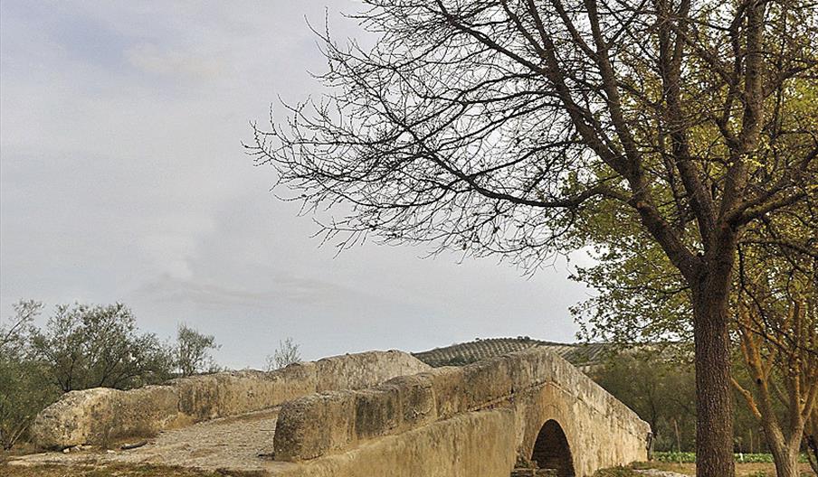 Puente de Vado Castro