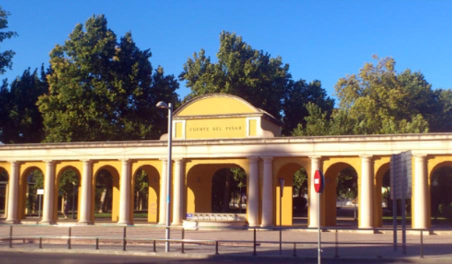 Fuente del Pisar