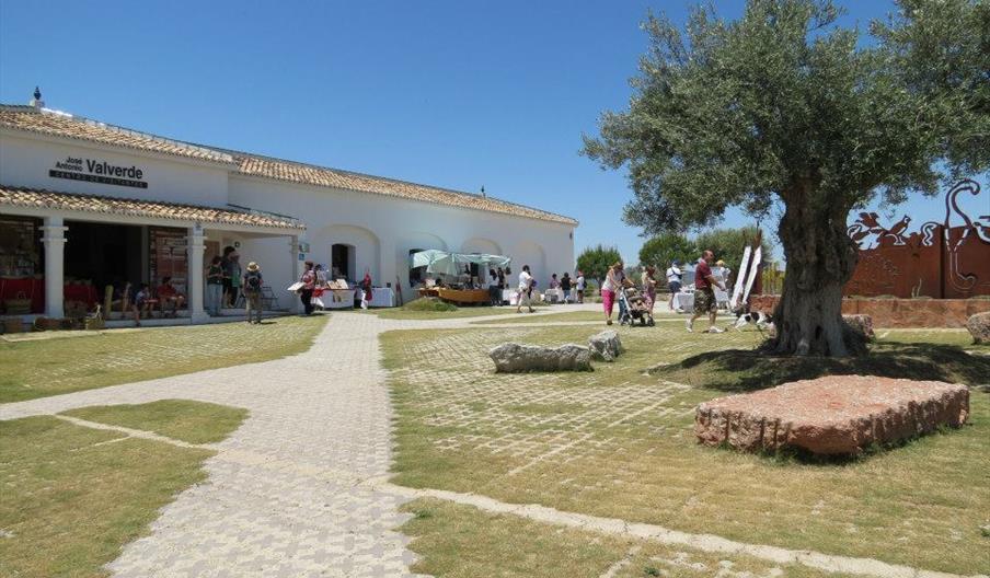 José Antonio Valverde