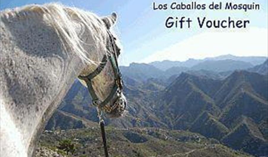 Los Caballos del Mosquín