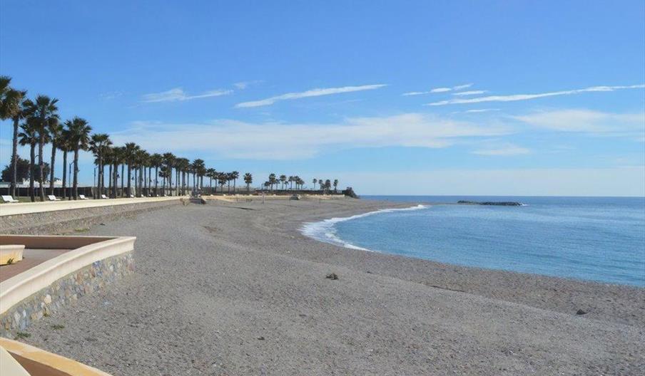 Censo / Playa de Benaluquete
