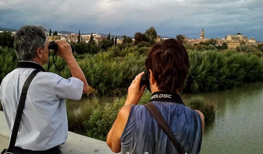 Cordobaviva Turismo Activo