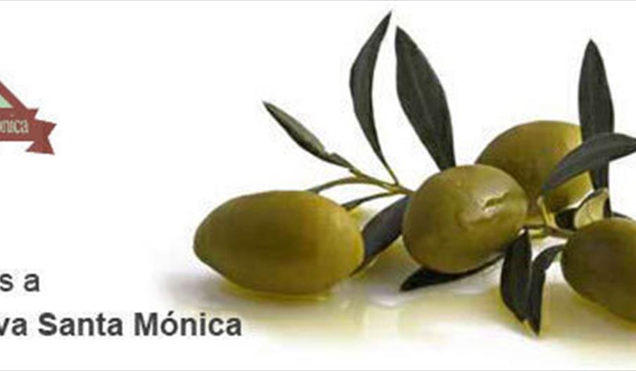 Cooperativa Santa Mónica