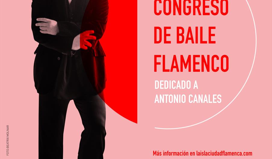 Congreso de baile flamenco