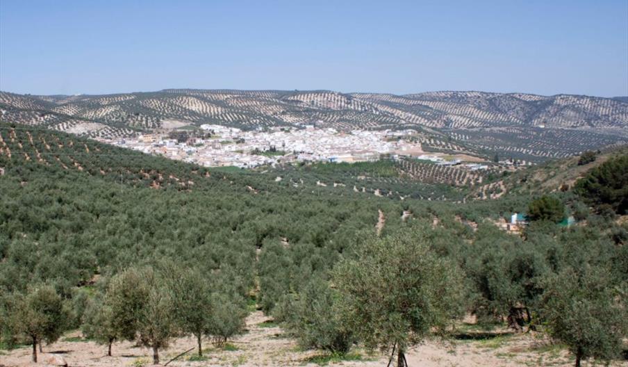 Aceites Guadalentín