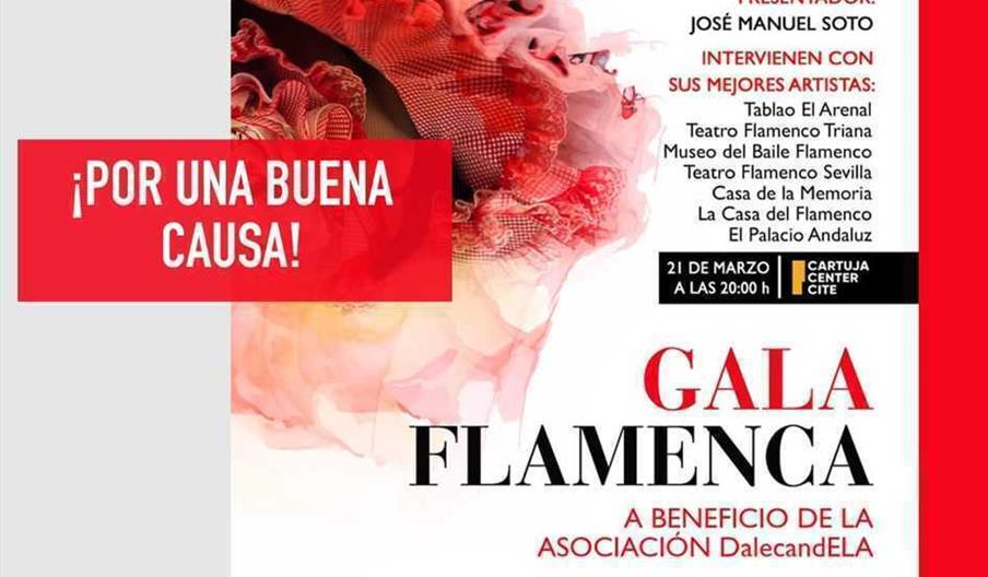 Gala Flamenca de la Fundación Cámara de Sevilla