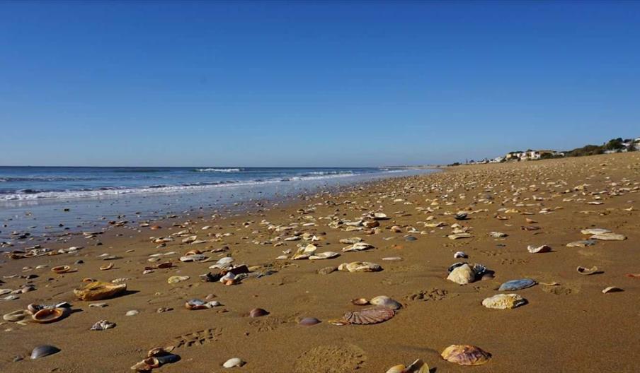 Playa Antiguo Club Náutico