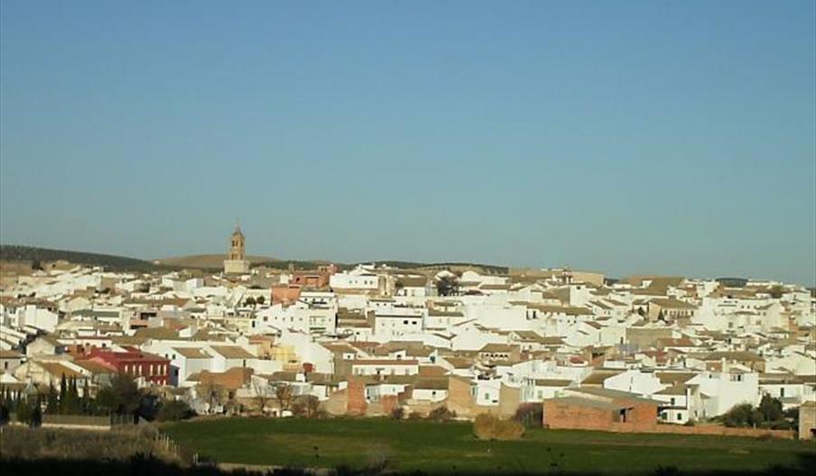 Sala de Síntesis Histórica