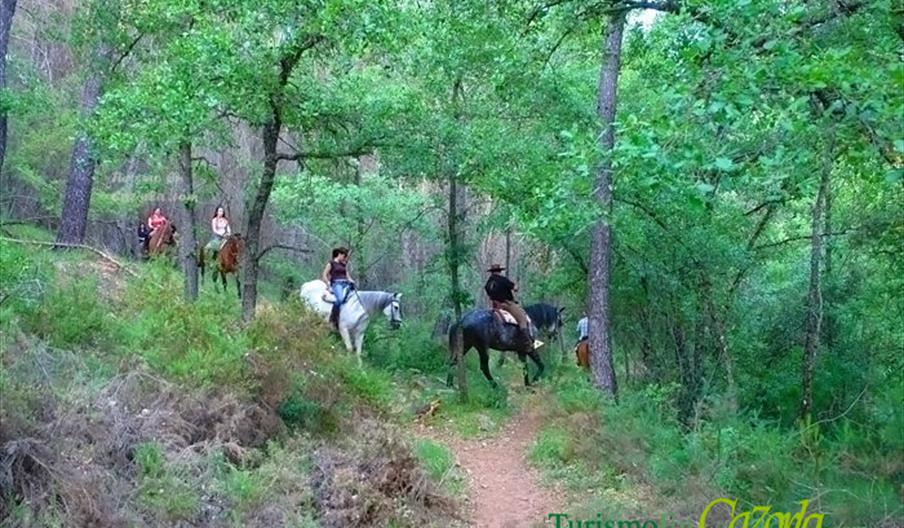 Picadero El Cortijillo