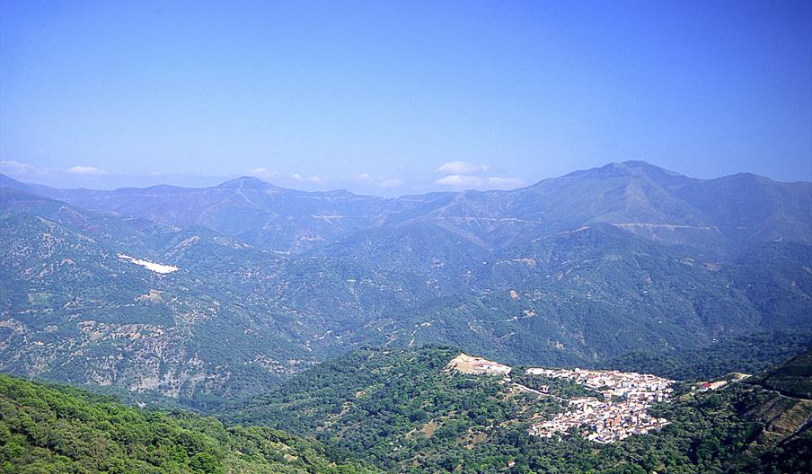 Los Reales de Sierra Bermeja