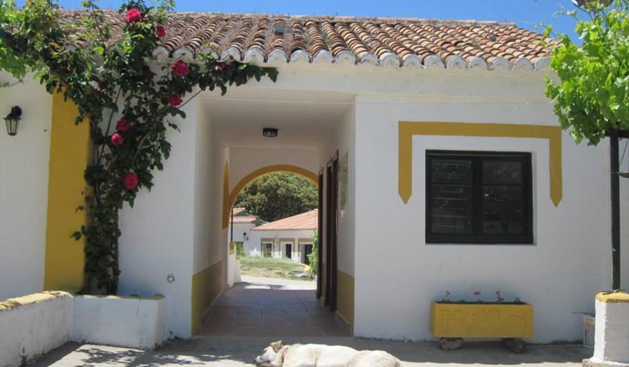 Camping La Rejertilla