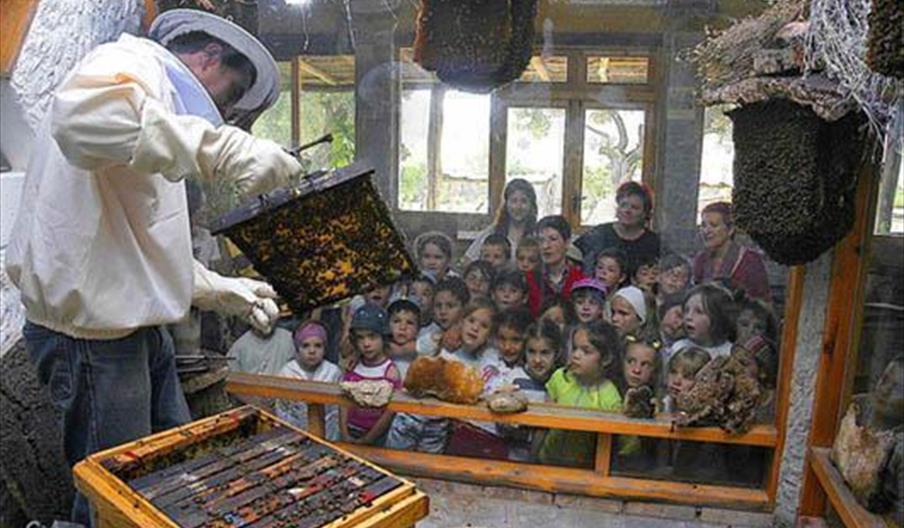 Museo de la Miel y las Abejas