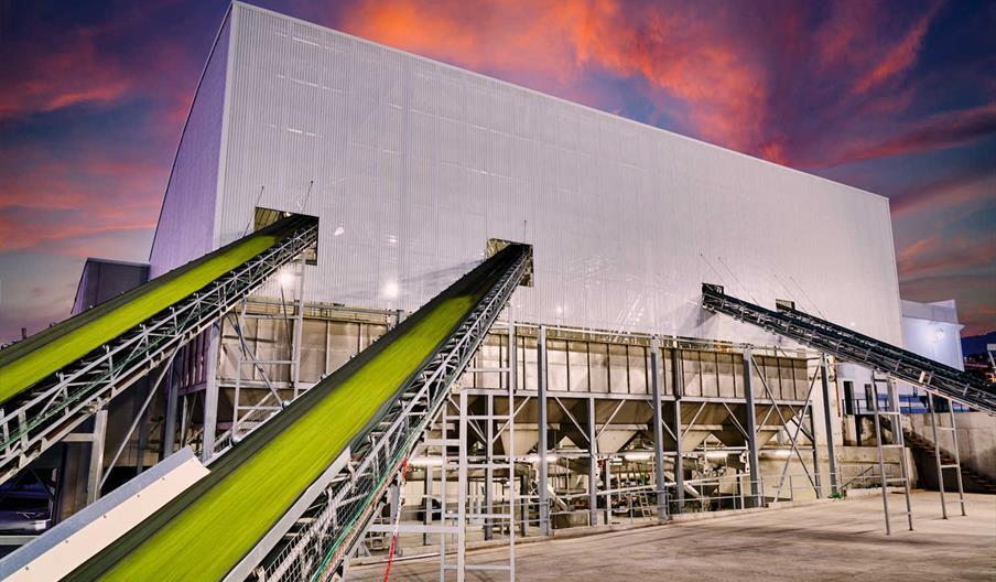 Recepción de aceituna