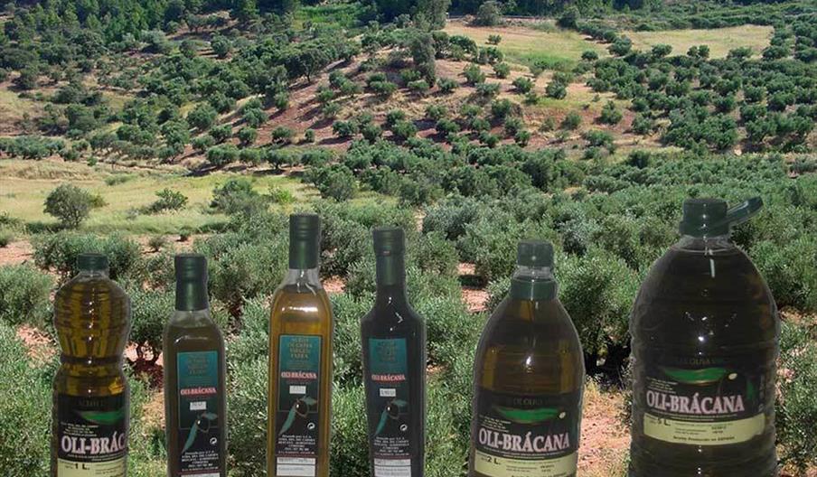 Almazara Olibrácana