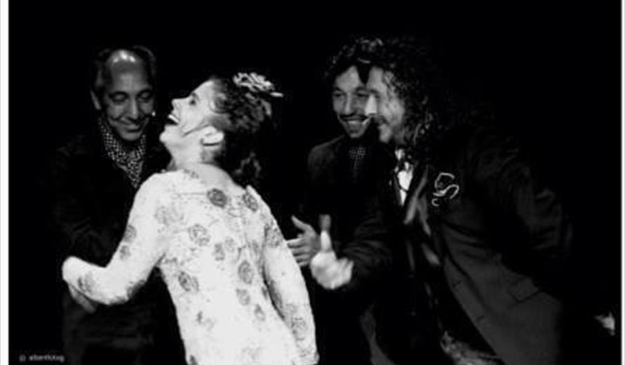 Festival Flamenco "Ciudad de Vera"