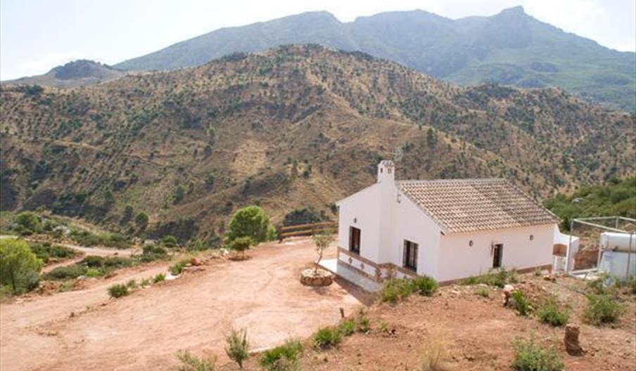 La Solana de Turón - La Coscoja