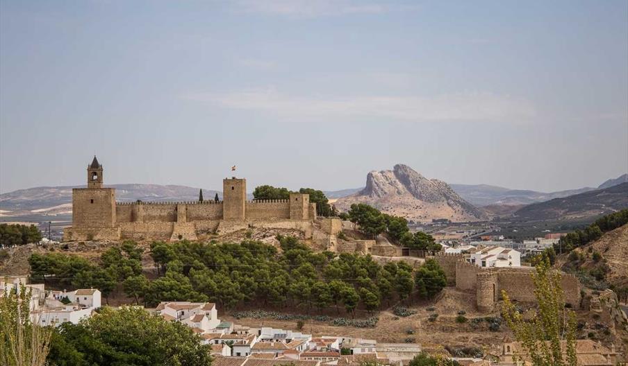 Visita Antequera y almazara tradicional
