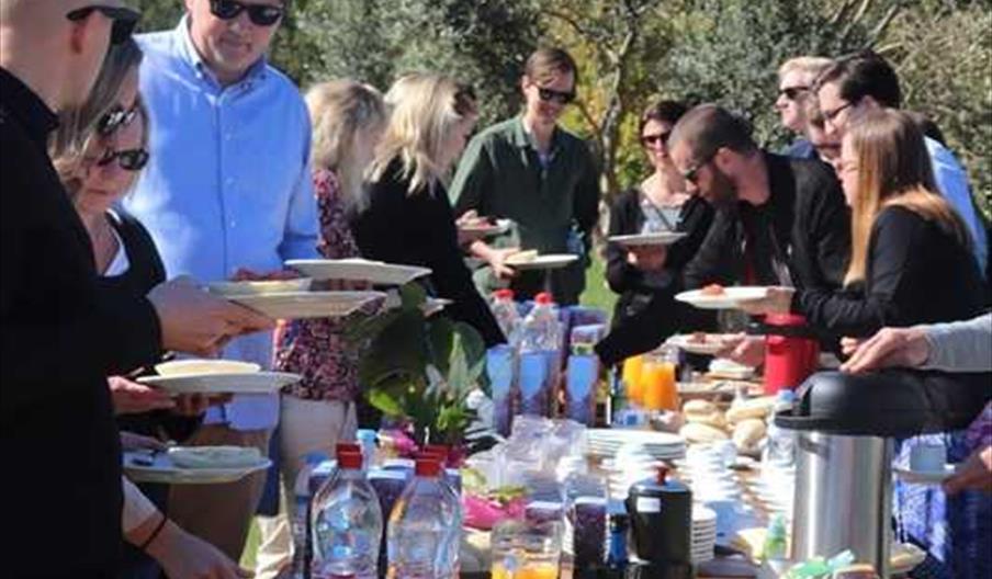 Oleoturismo Finca La Torre