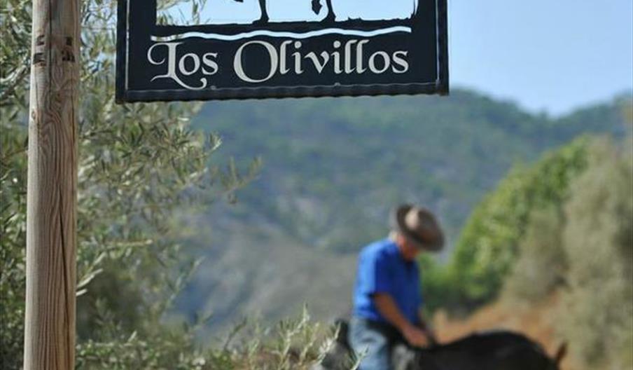 Finca Los Olivillos