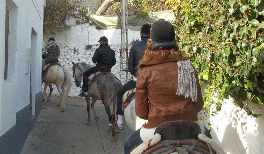 Palmali Rutas Ecuestres