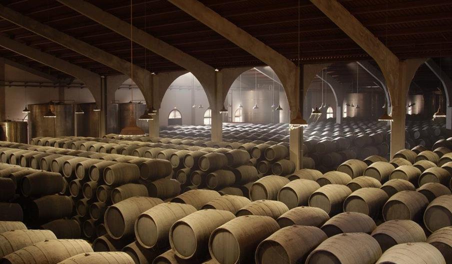 Bodegas Real Tesoro y Valdespino