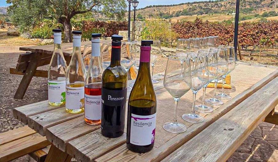 Bodega Gonzalo Beltrán