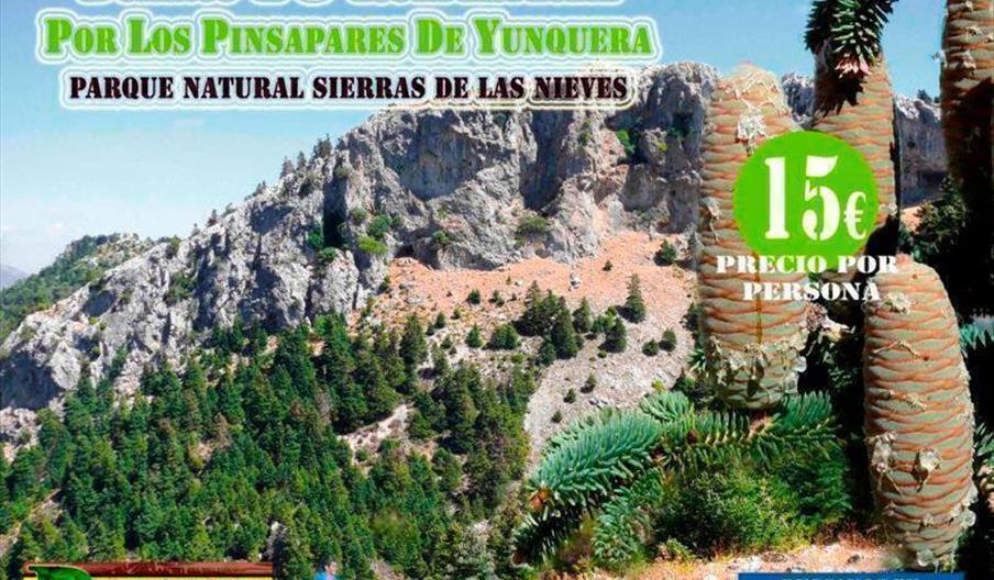 Descubre Guías del Sur