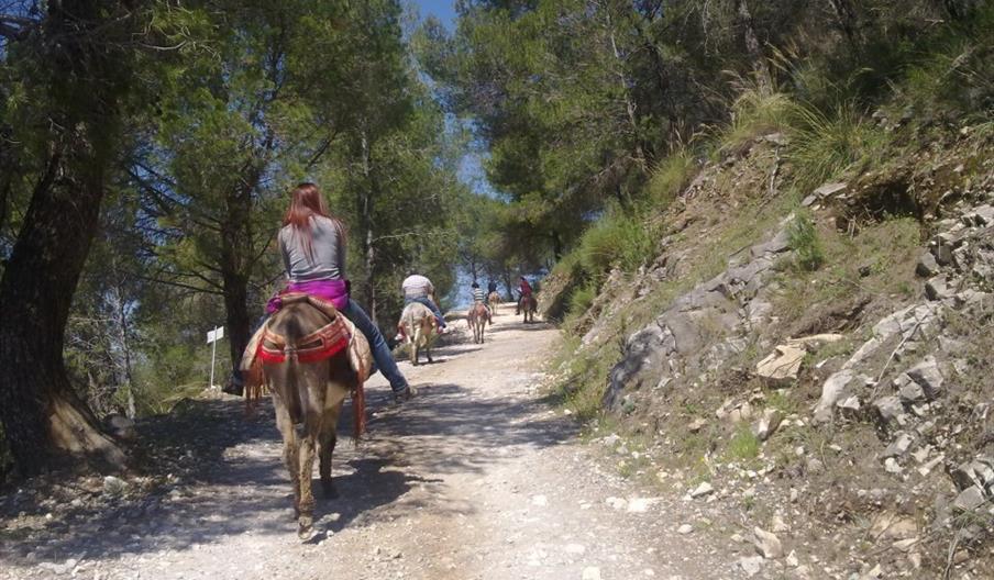 Rutas Turísticas en Burro