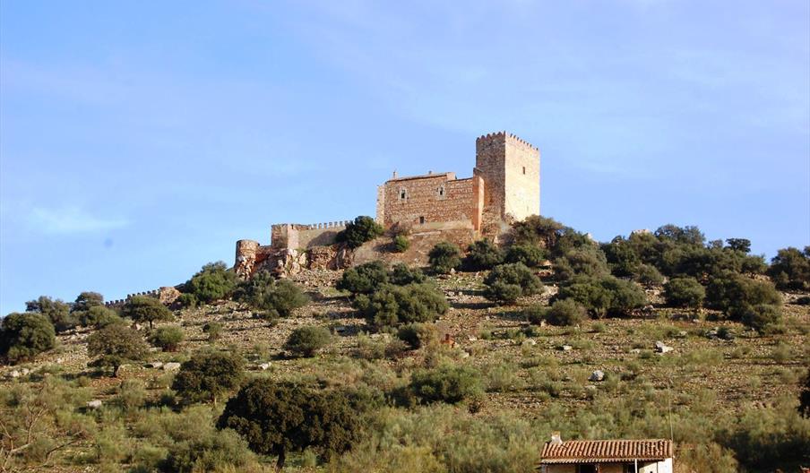 Castillo el Madroñiz