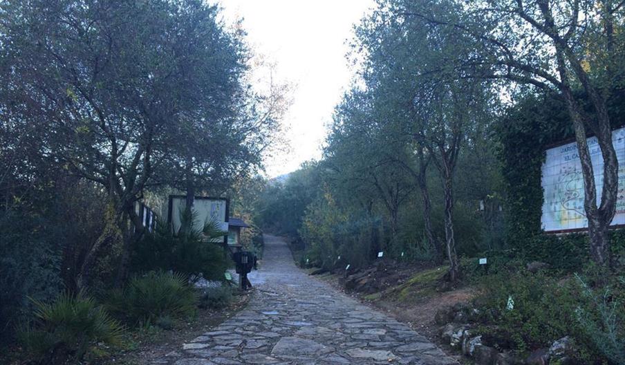 Jardín Botánico El Castillejo