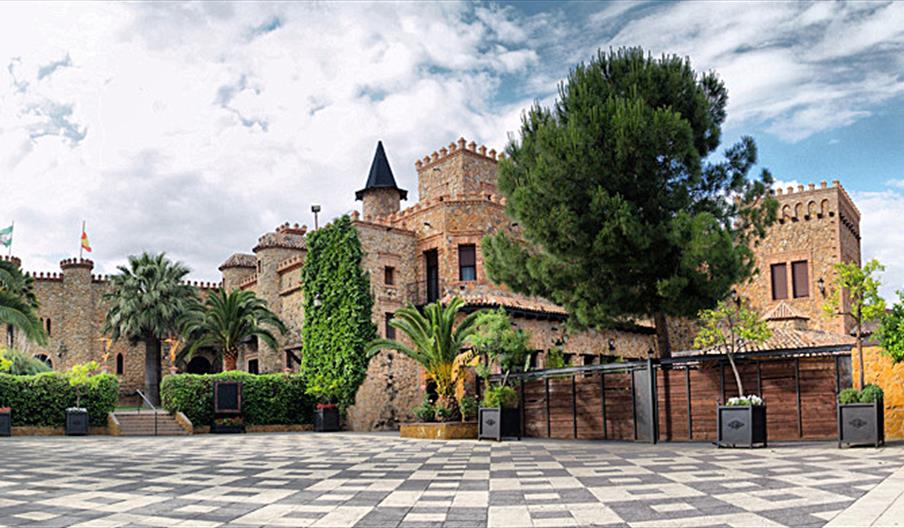 Sala Medievalum Copas