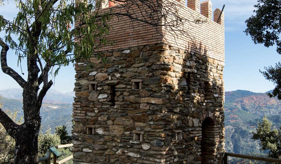 Torreón Virgen del Rosario