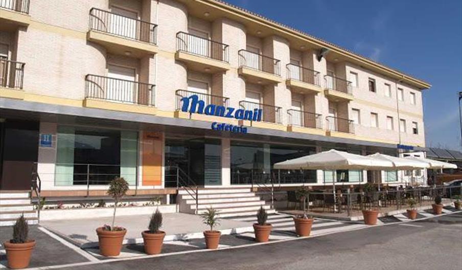 Hotel Manzanil