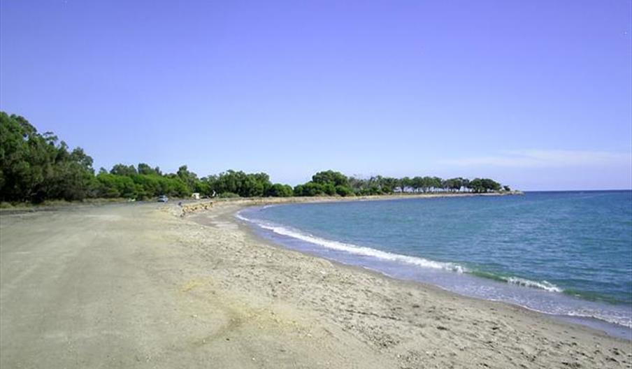 Quitapellejos / Palomares