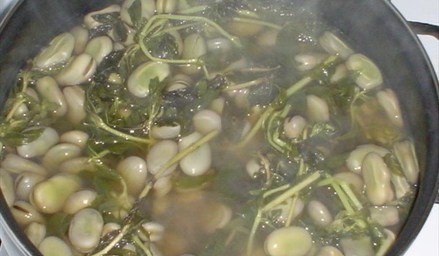 Muestra de Habas con Poleo