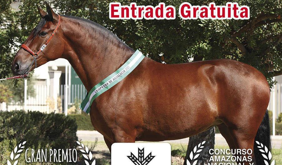 XXXII Campeonato Andalucia PRE