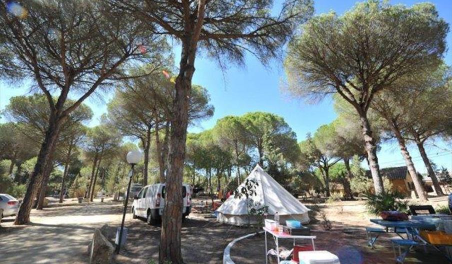 Camping Vejer