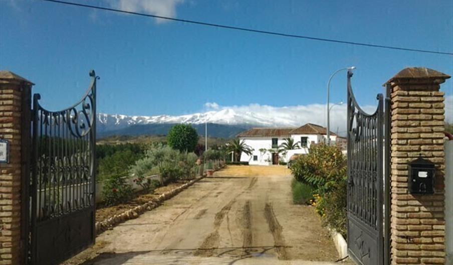 Museo del Aceite Almazara de Paulenca