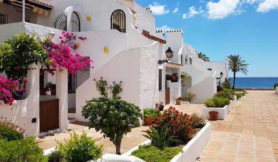 Duquesa , las Gaviotas