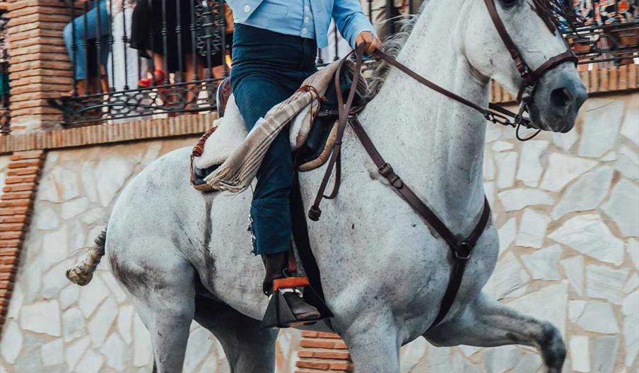 Carreras de Cintas a Caballo, Fuente de Piedra