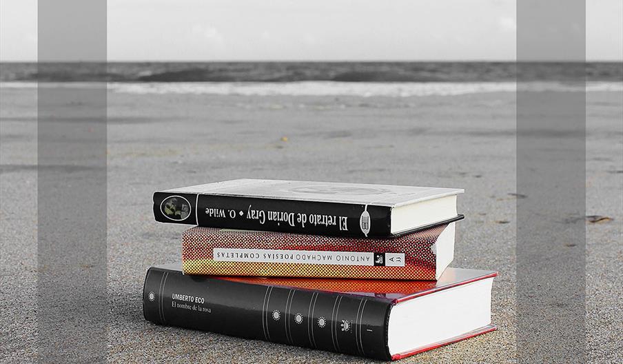 Fiesta del libro de Islantilla