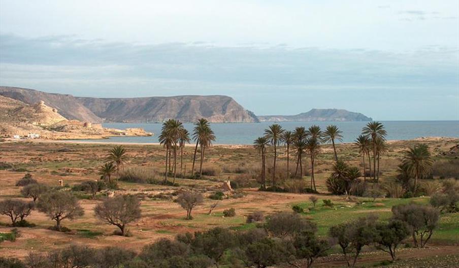 Posada Rural El Ajillo