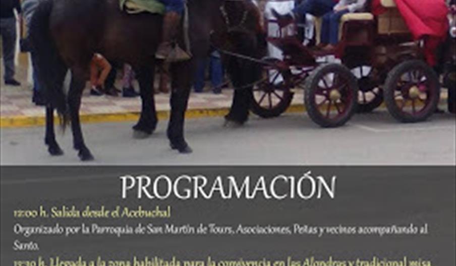 Romería y Verbena de San Martín