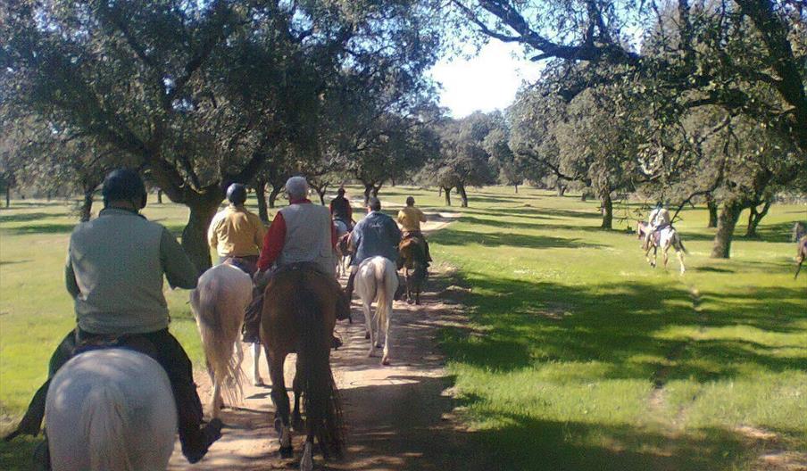 Hyla Educación Ambiental