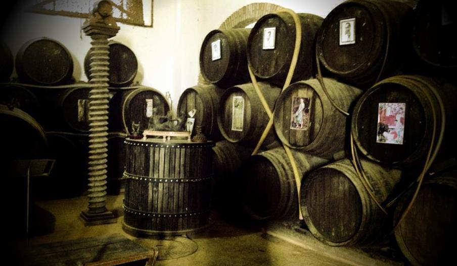 Bodegas Vinos de Anora