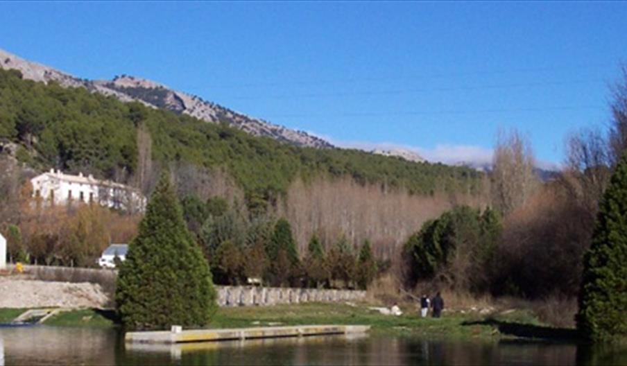 Picisfactoría Las Fuentes Trucha Arco Iris