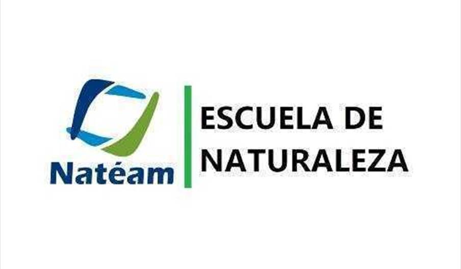 Natéam