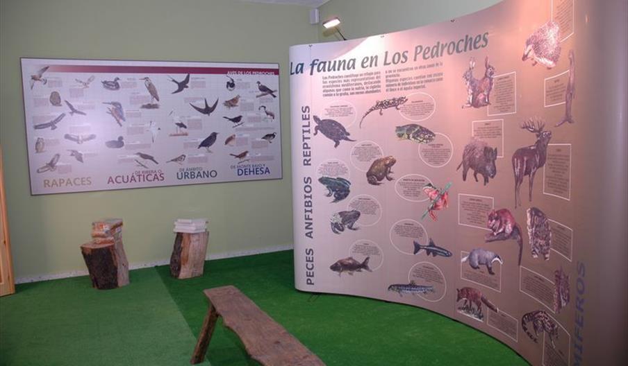 Aula de la Naturaleza El Pocito