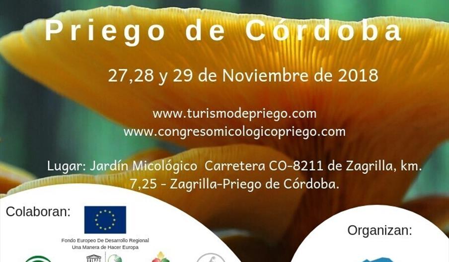 Congreso Internacional Micológico